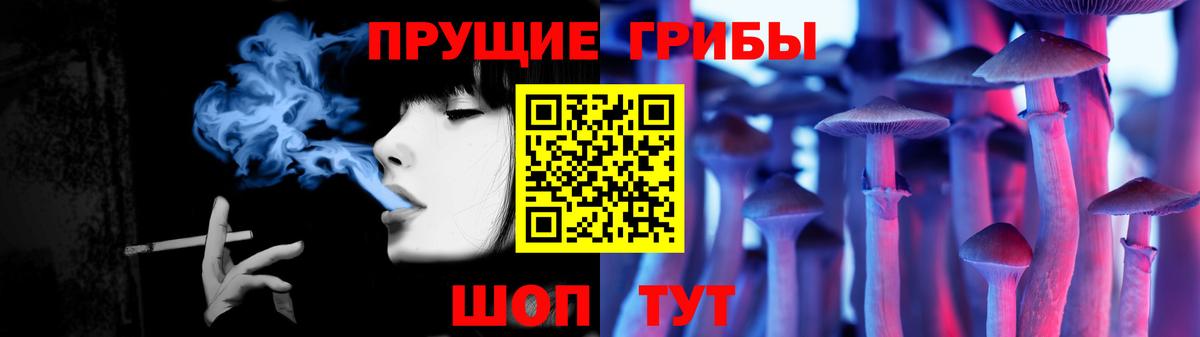 купить наркоту  Вход с VPN  Псилоцибиновые грибы прущие грибы  Шахты  Псилоцибиновые грибы Psilocybine cubensis 